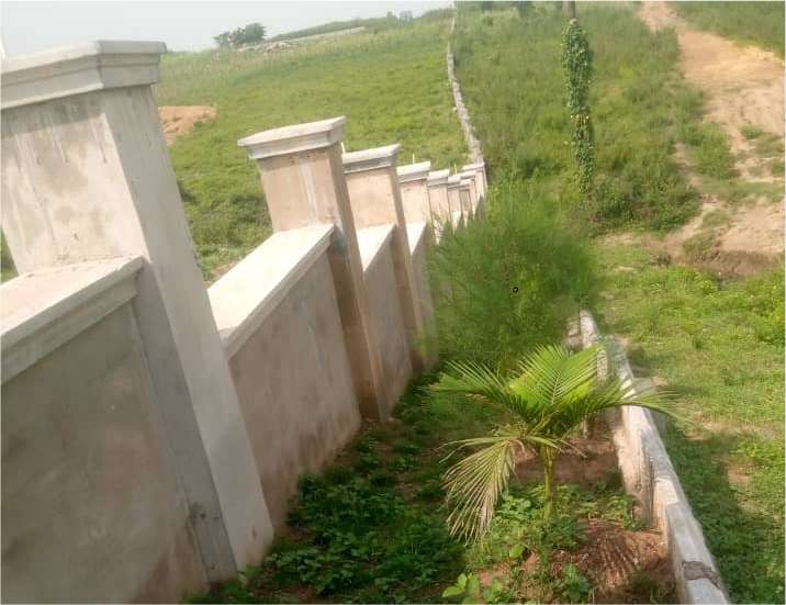 Lightview Phase One 5-BR Fully Detached Duplex 500 Sqm B